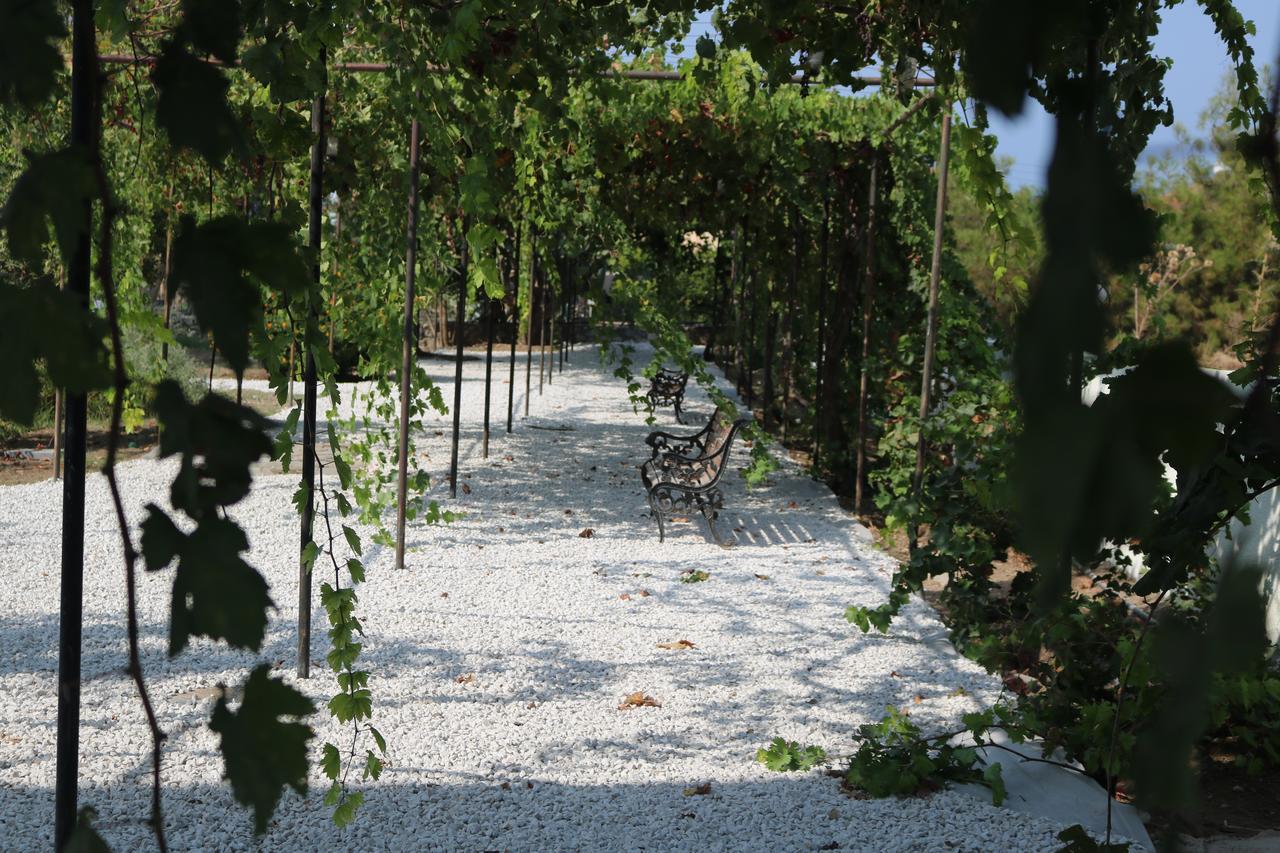Meryem'S Hotel Agios Epiktitos Exterior photo