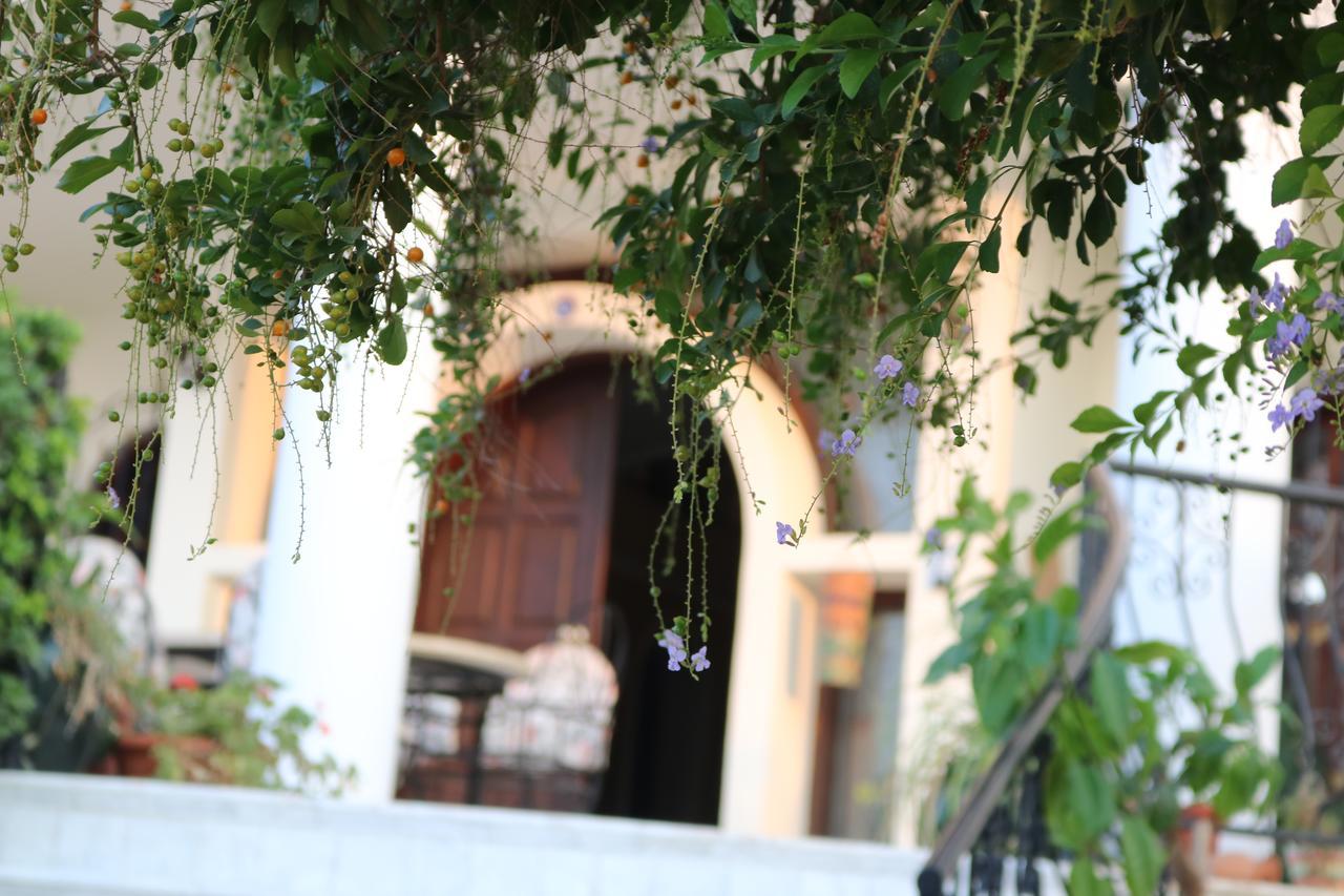Meryem'S Hotel Agios Epiktitos Exterior photo